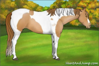 Horse Color:Bay Pearl Tobiano 