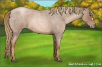 Horse Color:Liver Red Roan Pearl 