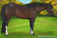 Horse Color:Brown 