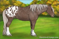 Horse Color:Silver Black Blanket 