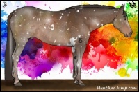 Horse Color:White Spotted Liver Chestnut 