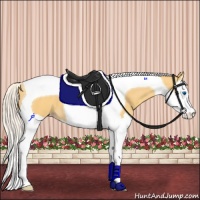 Horse Color:Silver Classic Cream Champagne Splash Tobiano 