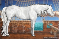 Horse Color:Palomino Roan Leopard  and Palomino Roan Leopard Rabicano 