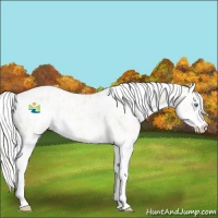 Horse Color:Cremello Sabino  and Cremello Sabino 