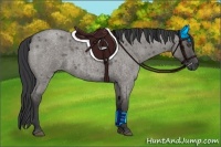 Horse Color:Grullo Roan 
