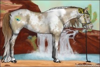 Horse Color:White Spotted Liver Red Dun Ice Pearl Sabino 