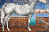 Horse Color:White Spotted Chocolate Palomino Ice Pearl Dun Rabicano