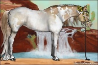 Horse Color:White Spotted Liver Chestnut Pearl Rabicano 