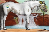Horse Color:White Spotted Liver Red Dun Tobiano Brindle