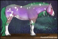 Horse Color:Watercolor White Spotted Buckskin Onyx