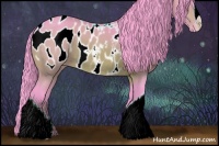 Horse Color:Watercolor Bay Appaloosa