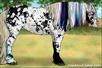 Horse Color:Watercolor Chocolate Palomino Sabino Appaloosa 