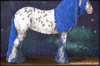 Horse Color:Watercolor White Spotted Bay Ice Appaloosa 
