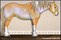 Horse Color:Watercolor White Spotted Liver Red Onyx