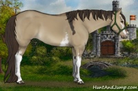 Horse Color:White Spotted Liver Red Dun