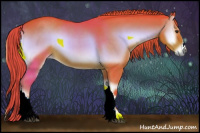 Horse Color:Watercolor Red Onyx