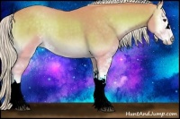 Horse Color:Watercolor Palomino Onyx Sabino