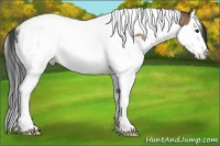 Horse Color:Bay Dun Sabino Splash Tobiano 