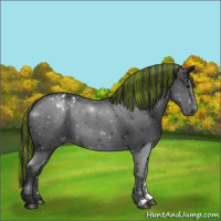 Horse Color:Painted Black Varnish 
