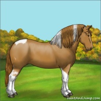 Horse Color:Chestnut Tobiano