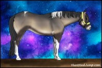 Horse Color:Blue Onyx Tobiano 