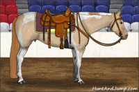 Horse Color:Red Dun Tobiano 