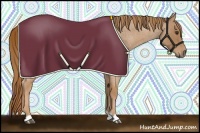 Horse Color:Red Roan