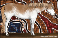 Horse Color:White Spotted Chestnut