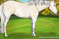 Horse Color:White Spotted Silver Buckskin Pearl 