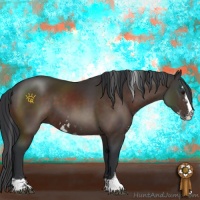 Horse Color:Brown Sabino