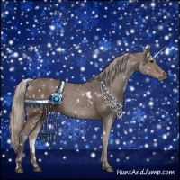 Horse Color:White Spotted Silver Black 