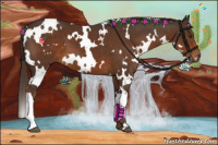 Horse Color:White Spotted Liver Chestnut 