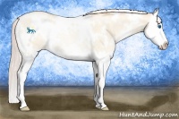 Horse Color:White Spotted Silver Sable Cream Champagne Pearl Dun Splash Rabicano 