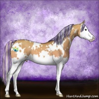 Horse Color:Painted White Spotted Silver Bay Dun Splash 