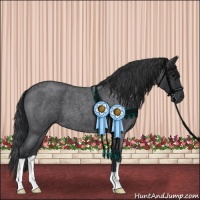 Horse Color:Blue Roan 