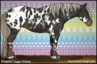 Horse Color:White Spotted Liver Chestnut Near Leopard 