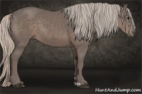 Horse Color:Silver Black 