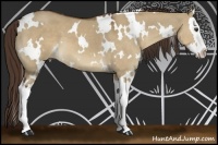 Horse Color:White Spotted Liver Red Dun Splash 