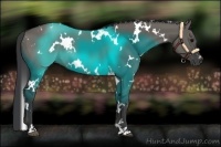 Horse Color:White Spotted Grullo