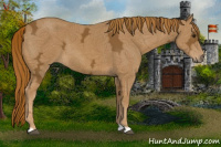 Horse Color:Chestnut Ice 
