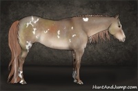 Horse Color:White Spotted Liver Red Dun Sabino 