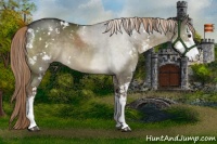 Horse Color:Liver Red Dun Sabino 