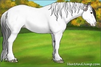 Horse Color:Bay Ice Sabino Splash Tobiano Appaloosa 