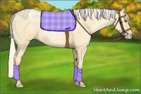 Horse Color:Silver Classic Champagne Pearl Dun Frame Rabicano