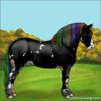 Horse Color:Painted Bay Splash Appaloosa 