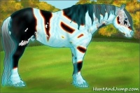Horse Color:Thunderstruck Brown Ice Sabino Splash Tobiano Snowcap Rabicano 