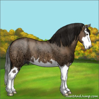 Horse Color:Gray Bay Ice Dun Sabino Splash 