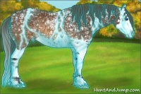 Horse Color:Thunderstruck Buckskin Ice Splash Appaloosa 