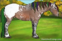 Horse Color:Painted Brown Ice Sabino Snowcap 