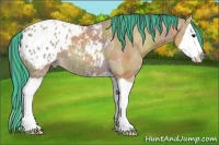 Horse Color:Painted Nacre Bay Ice Splash Appaloosa